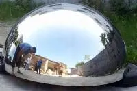 Полусфера ø 1500 нержавеющая сталь (207298) сертификат промоборудование мм.  в Покрове