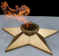 Звезда ø 800 мм. (1631) сертификат комплект горелка ГВД 379 10 89 00 ПС вечный огонь пустотелая  в Покрове