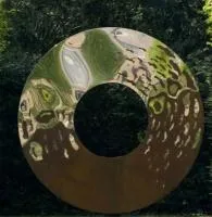 Уличный ДИЗАЙН — ЛИНЗА (519085) ∅ 1150 сталь AISI304 Покров 