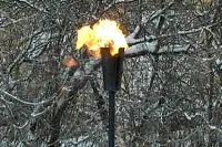 Факел садовый январь 2012 (197221) производство ø 65 мм. ветроустойчивая  в Покрове