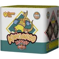 Батарея салютов Кенгуру ОС6035 купить от производителя Огненный Цветок — Покров