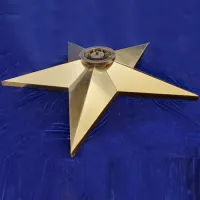 Звезда вечный огонь (1628) поставка комплект горелка ГВД 379 10 89 00 ПС ø 1100 мм. пустотелая  в Покрове