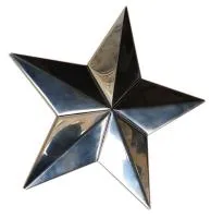 Звезда на стелу обелиск (197202) монтаж - стела памятник ø 250 мм. пустотелая  в Покрове