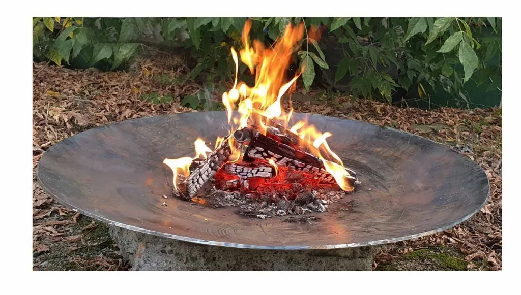 Кованная чаша для костра - авторский дизайн доставка в Покров